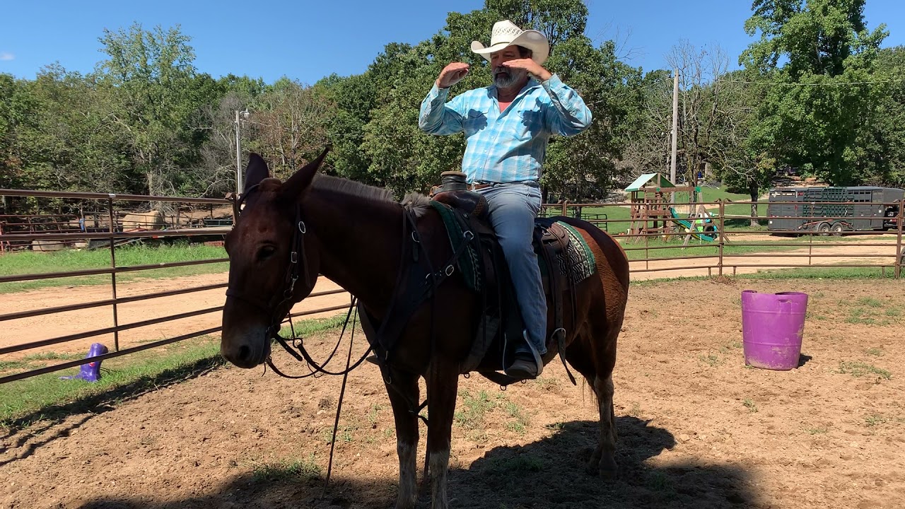 Serious talk about MULES , MULE TRAINING, mule selection , clinics and more