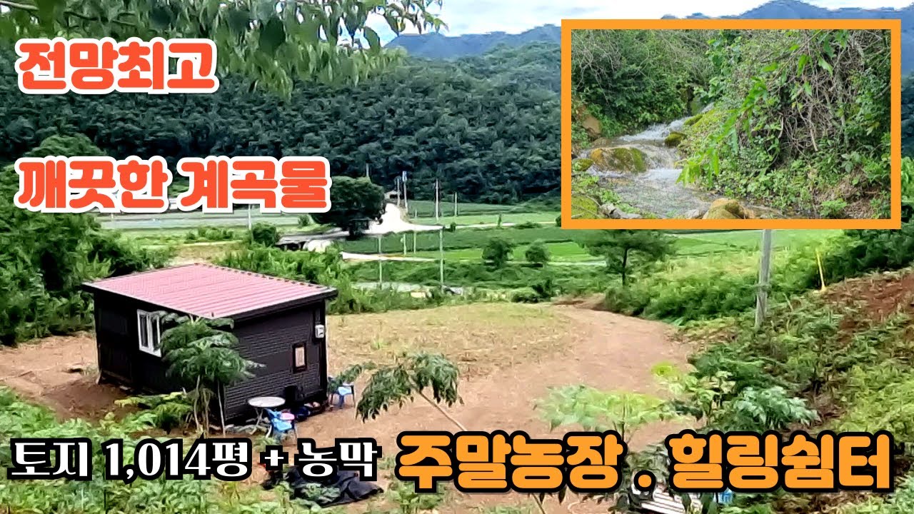 국유림 아래 프라이빗한 곳으로 계곡물과 전망도 좋은 힐링쉼터 ㅣ 1,014평 주말농장 ㅣ분할하여 지인과 함께  주말쉼터로~ㅣ 6000만원 ㅣ [충북단양토지] 전원일기tv