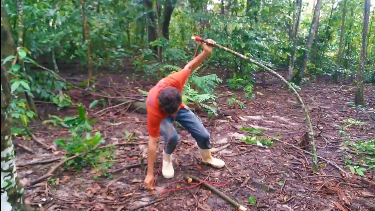 A Armadilha mais Eficaz (4) para PEGAR PORCÃO Porcos do Mato Cateto Queixada Javali Porco Monteiro