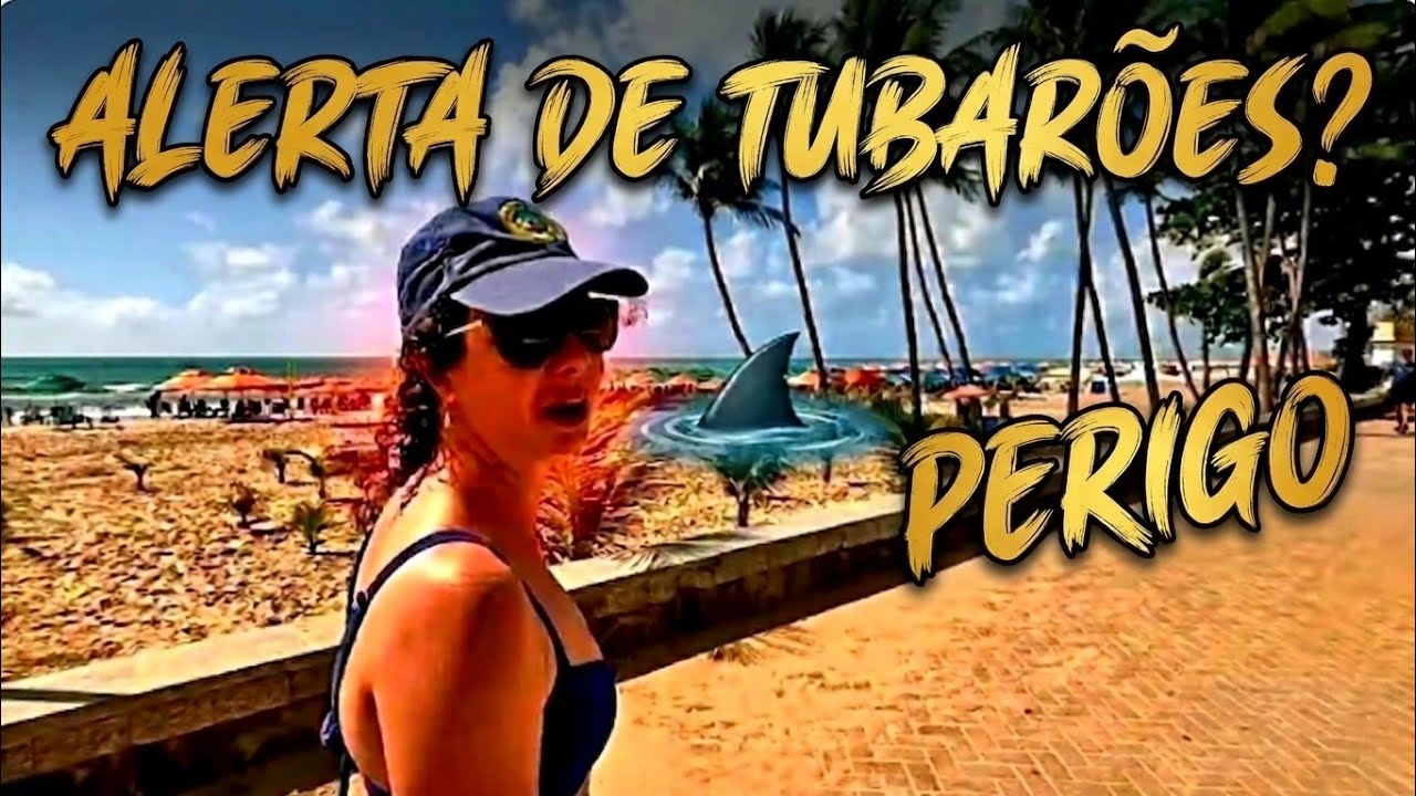 TUBARÕES na PRAIA DE BOA VIAGEM | O QUE VOCÊ PRECISA SABER