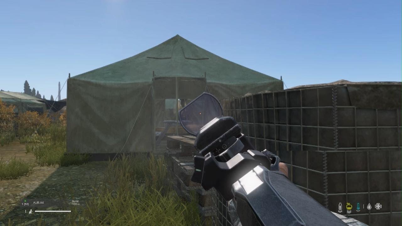 DayZ