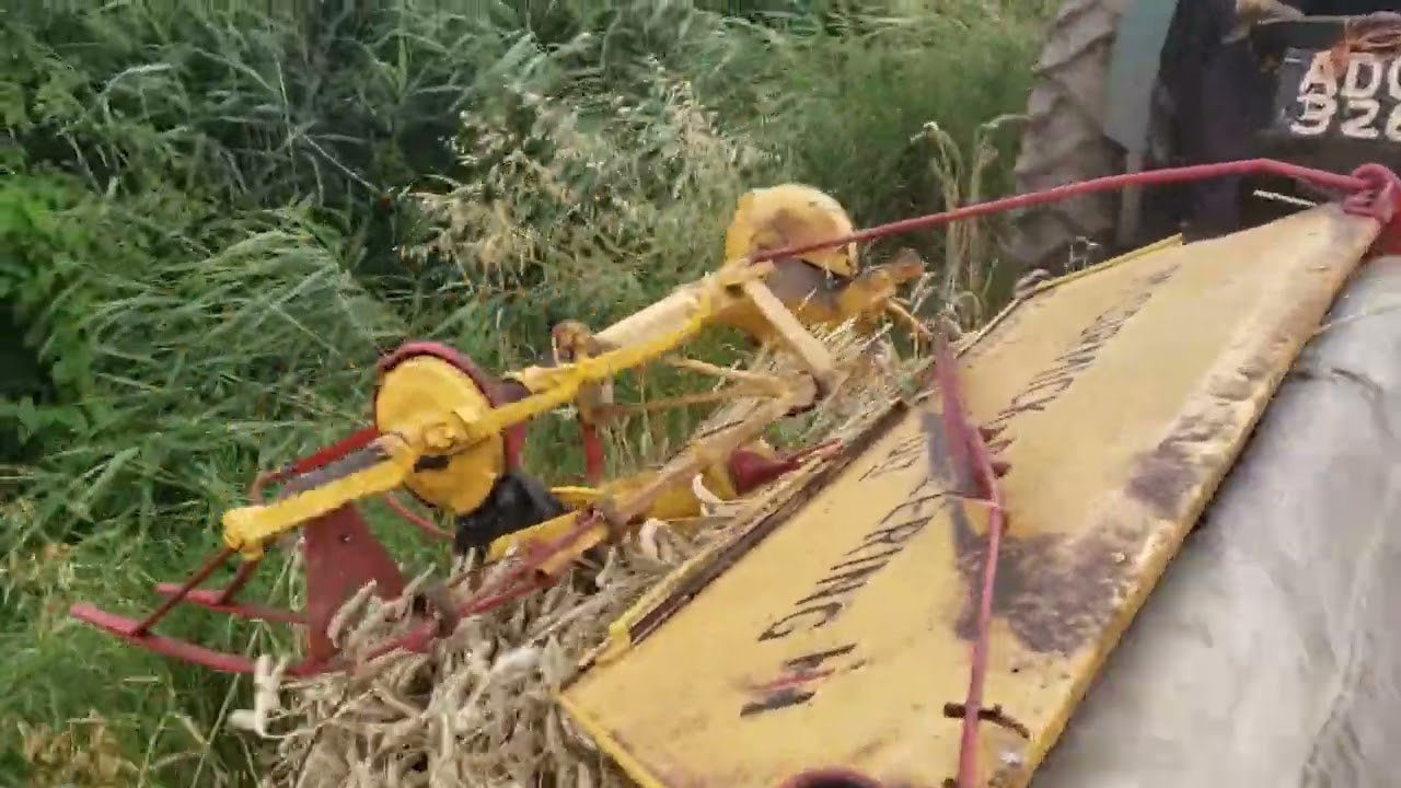 binding corn with massey binder and various tractor's fordsons & farmall & john deere