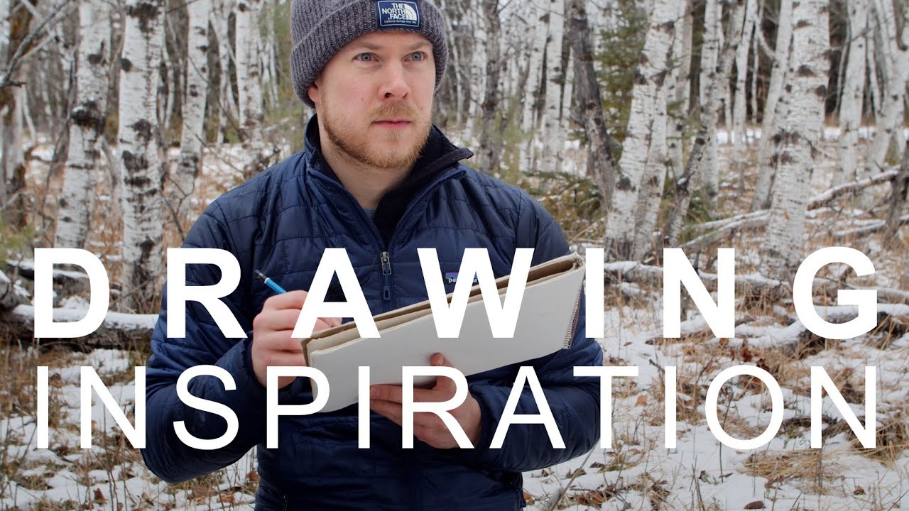 Drawing Inspiration - White Tailed Deer