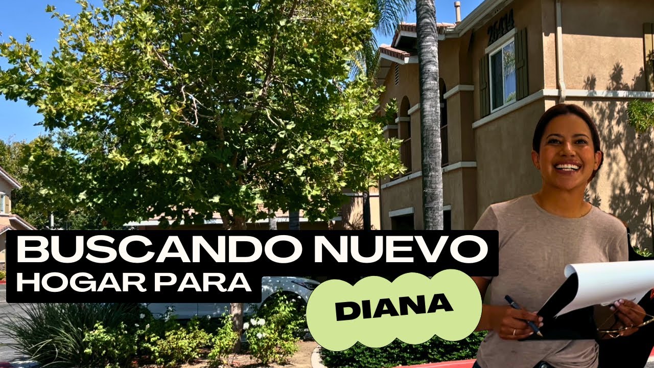 Acompananos en la busqueda de nuevo hogar para Diana🏡Parte 2