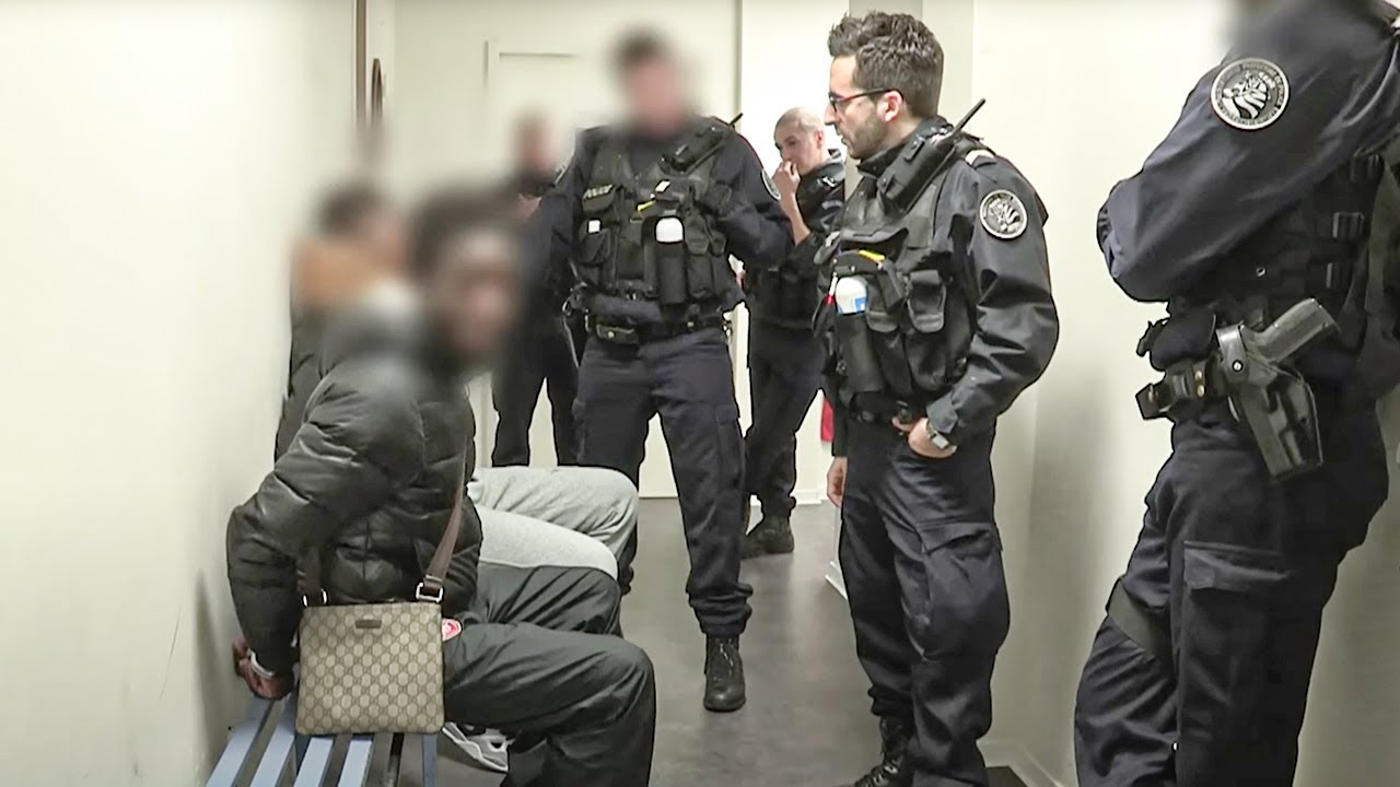 Violences Quotidiennes : Agressions et Rixes - Flic Story