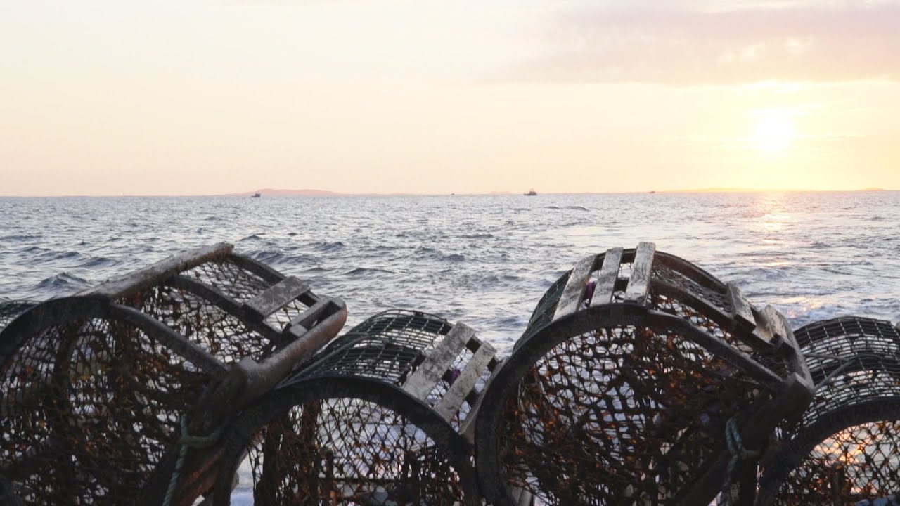 La semaine verte | Un calendrier de pêche dicté par le homard