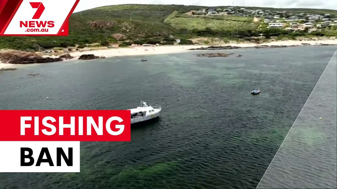 Southwest fishing ban threatens commercial livelihoods | 7NEWS