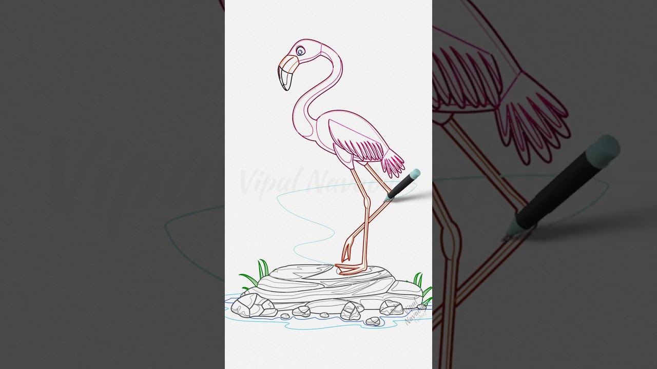 Flamingo standing on the rock || Drawing