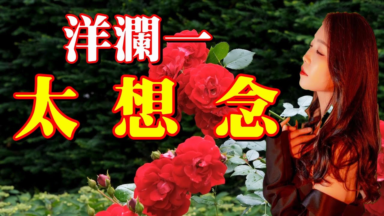 太想念---洋瀾一