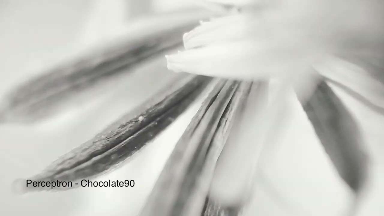 Perceptron - Chocolate90  (Tour De Traum 30)