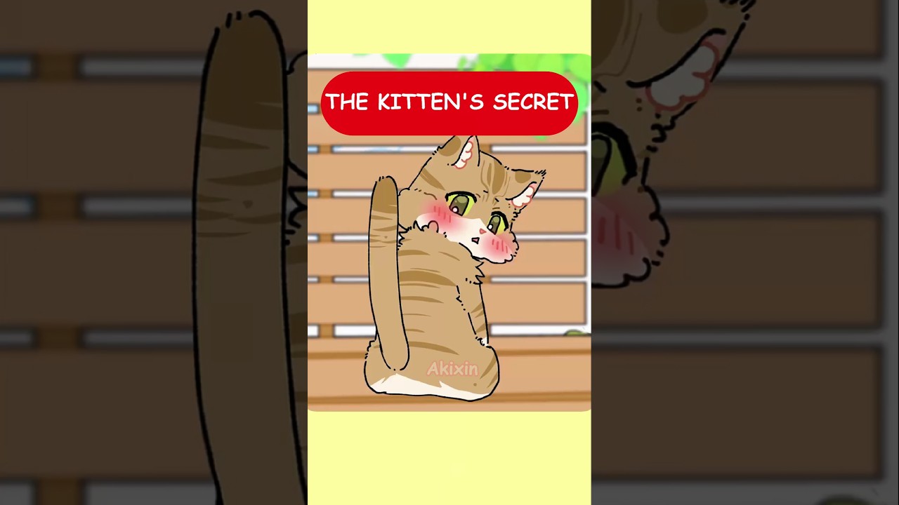 The Kitten's Secret #Akixin #cat #animation