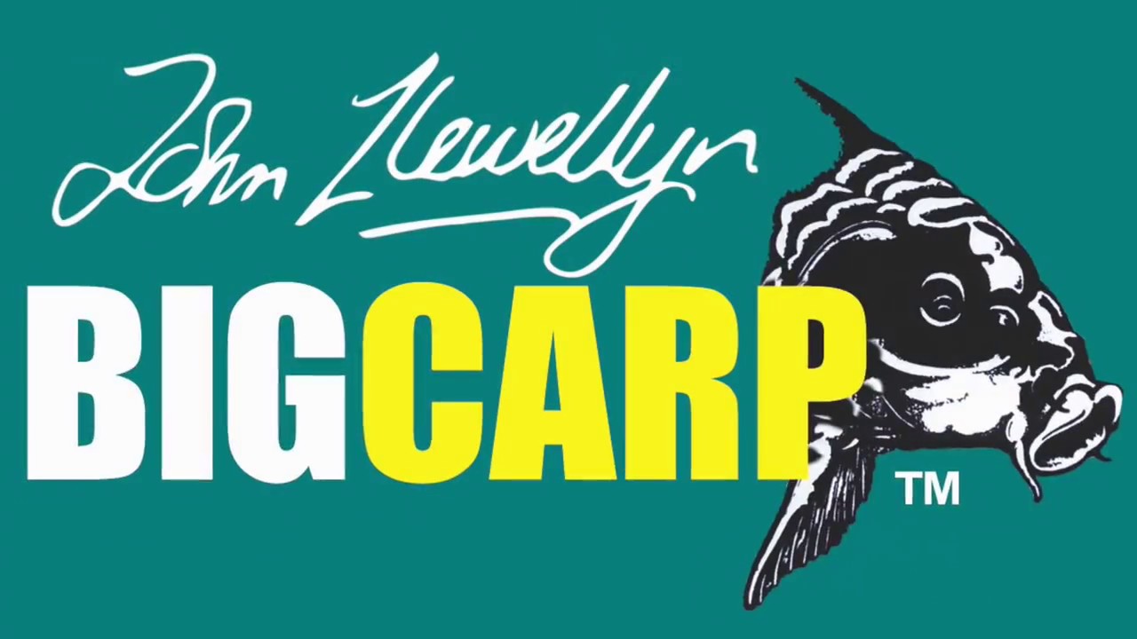 Bigcarp days 2017 bigcat style
