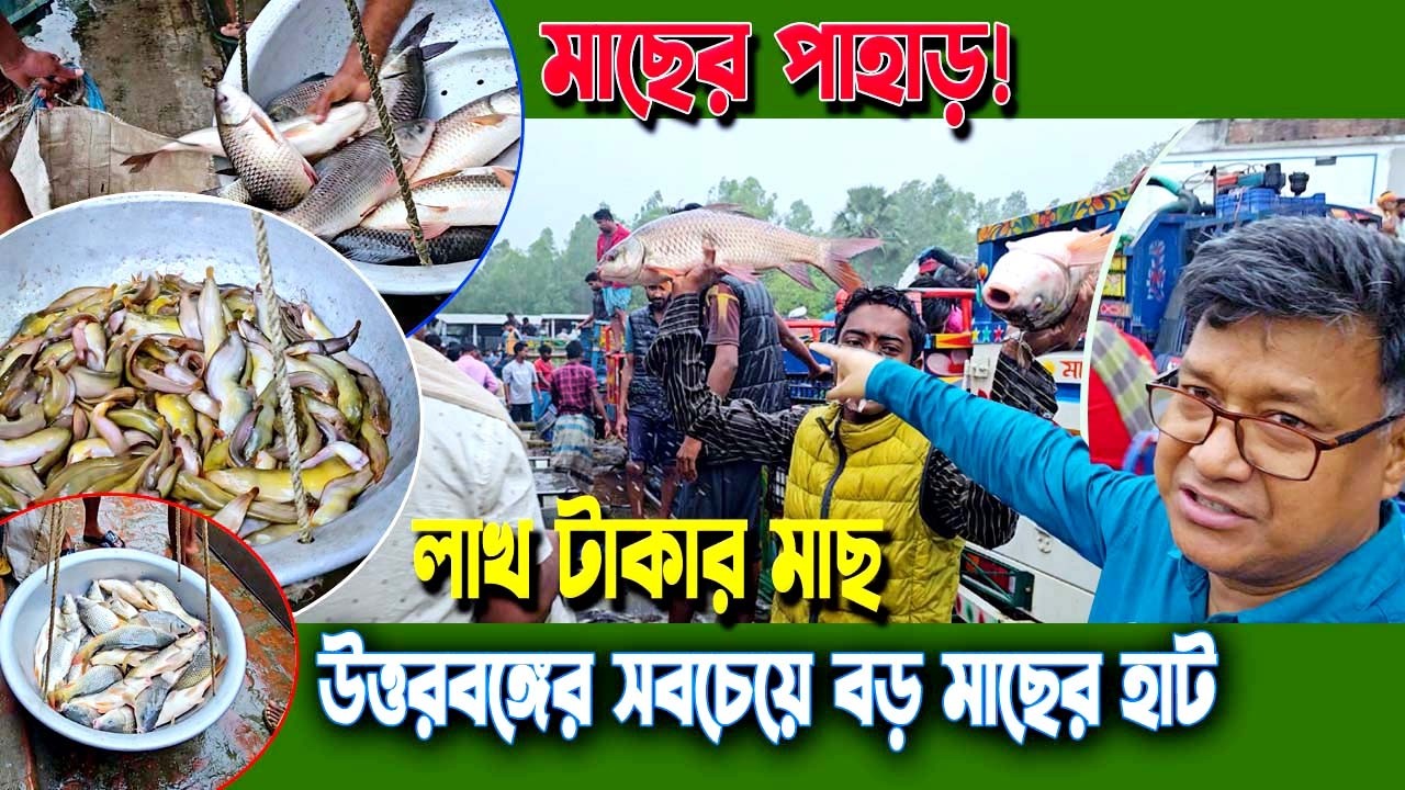 উত্তরবঙ্গের প্রবেশদ্বার কুতুবের চর! হাজার মন রুই-কাতলা ও চিংড়ির বিশাল মাছের হাট