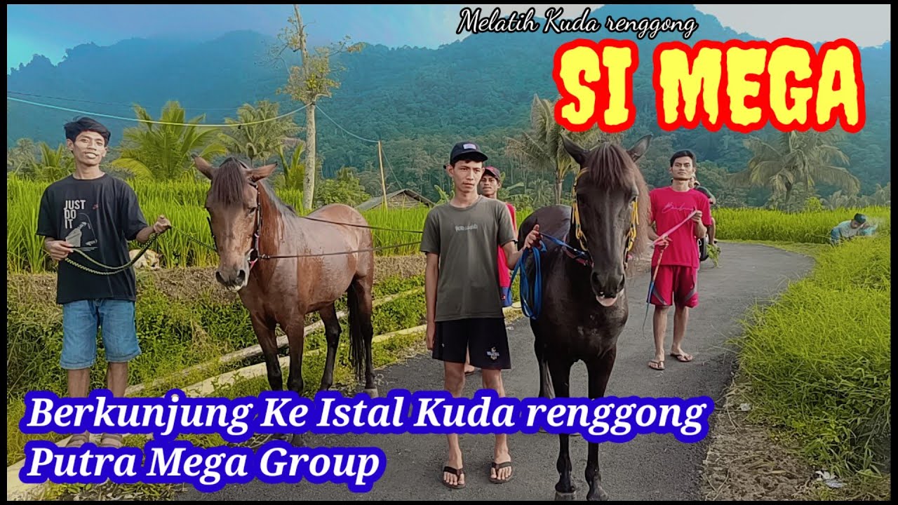 BERKUNJUNG KE ISTAL KUDA RENGGONG SI MEGA