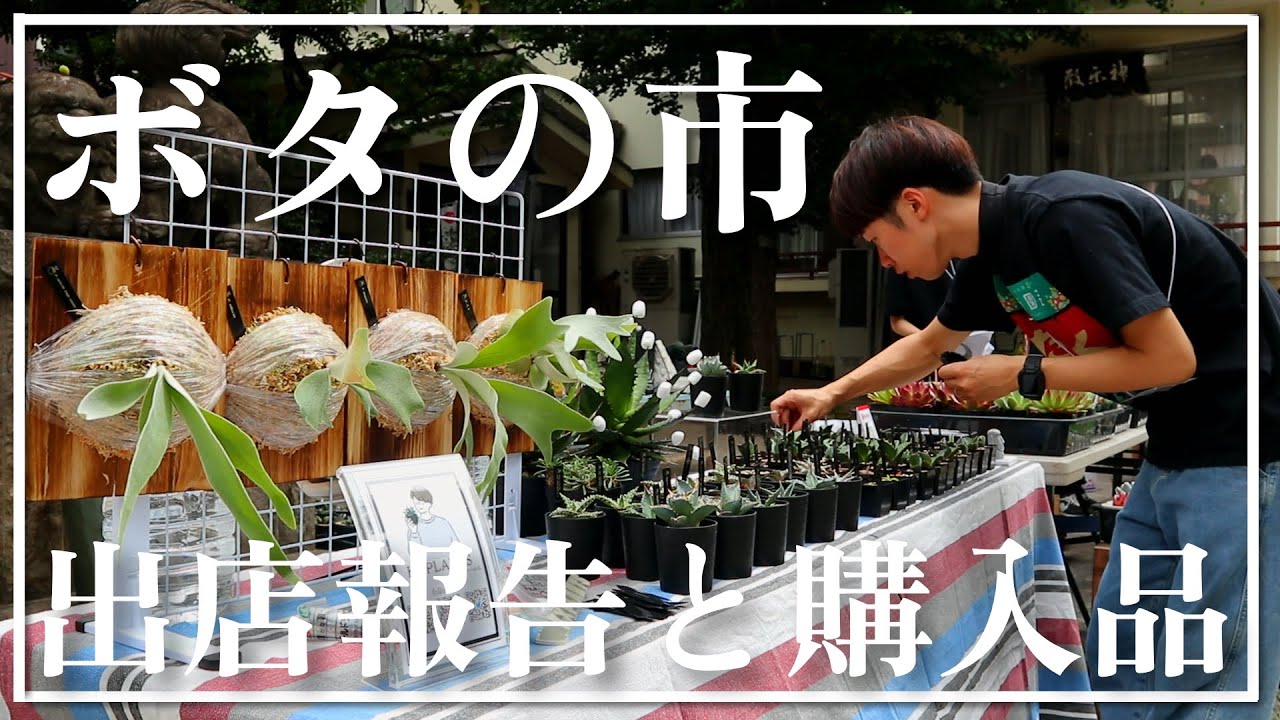 【超満員!!】植物イベント｢ボタの市｣が盛り上がり過ぎたので見て欲しい。【イベントレポート&購入品紹介】｜アガベ｜ビカクシダ｜パキポディウム｜アロエ｜ハオルチア｜多肉植物｜塊根植物