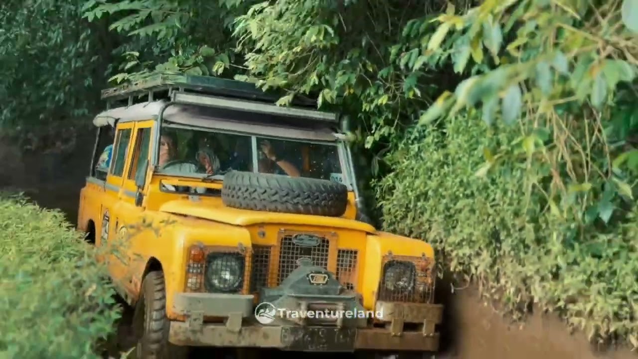 Offroad Land Rover Pangalengan, Klasik Tapi Asik!  🚜🌲