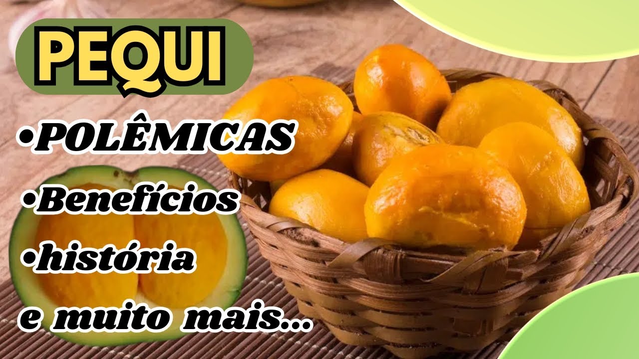 Tudo sobre o PEQUI - O OURO DO CERRADO (guia completo do pequi)