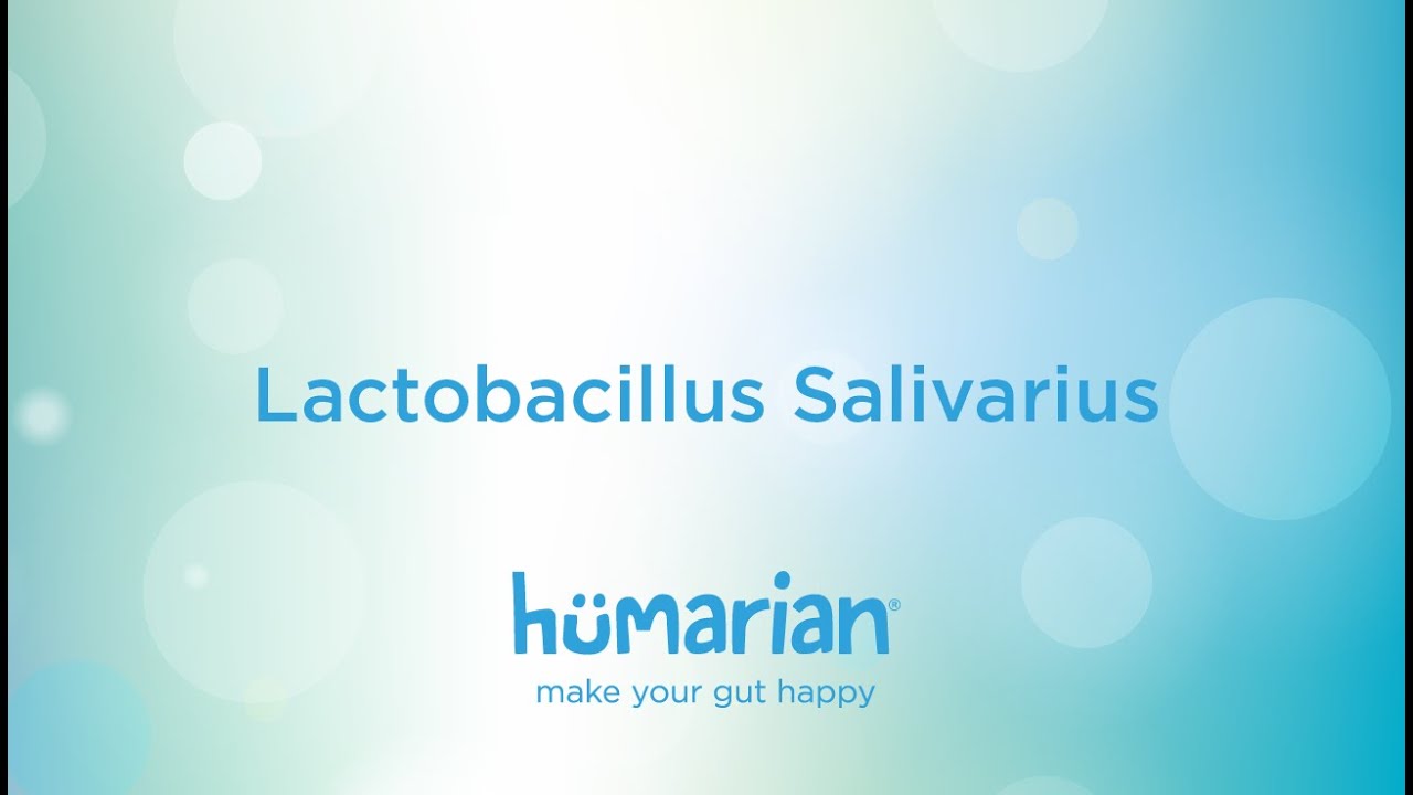 Lactobacillus Salivarius