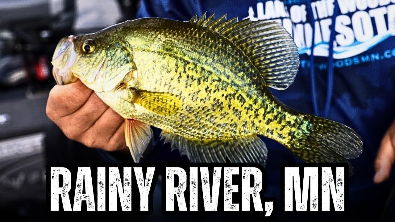 Rainy River, MN (River LURES & TIPS)