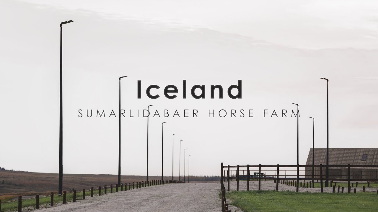 VIZULO REFERENCES || Sumarlidabaer Horse Farm, Iceland