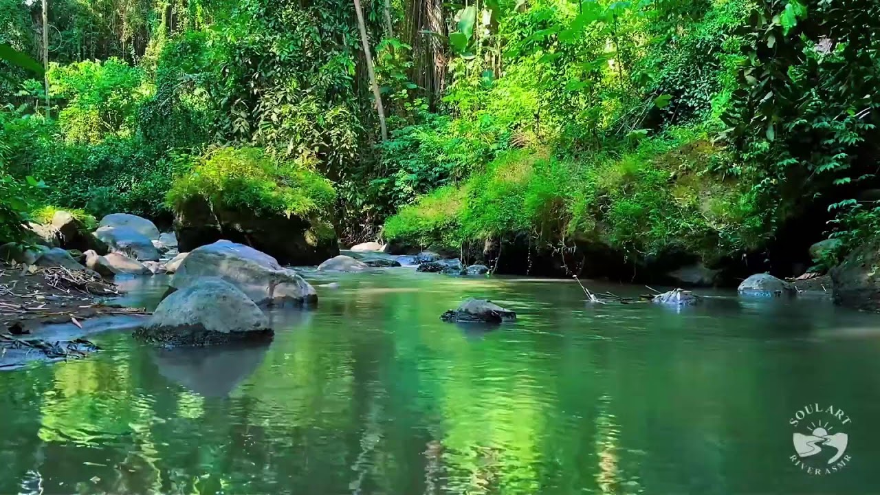 Deep Sleep River Stream Sounds | Gentle Flowing Water for Insomnia Relief