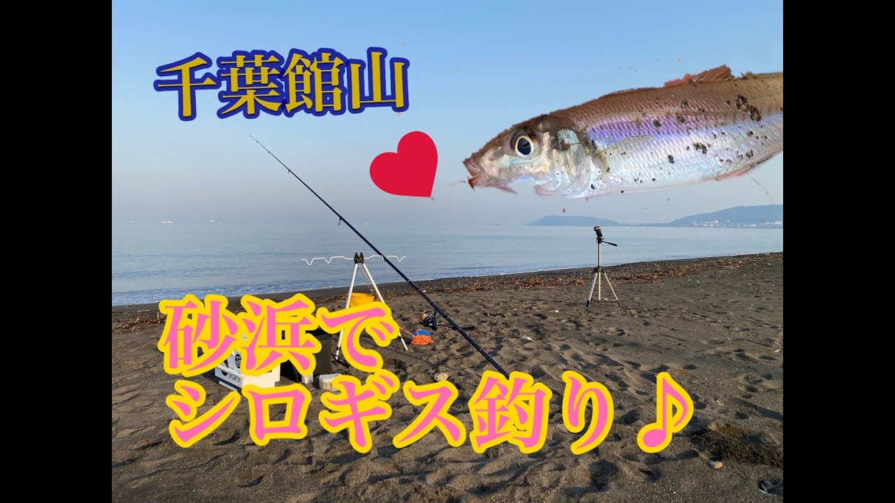 【23年5月】千葉館山サーフでシロギス釣り！キスの天ぷら最高や～♪(*´ω｀*)