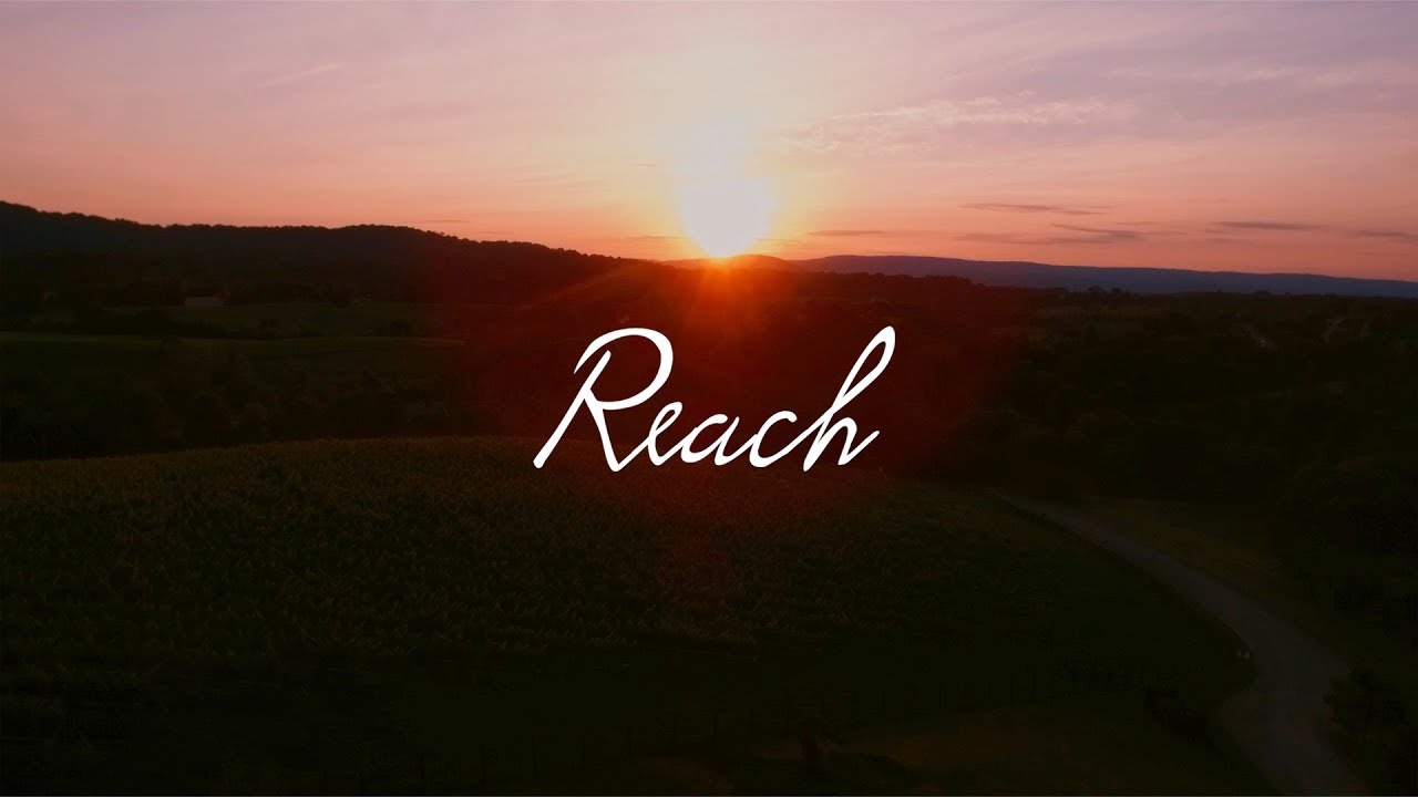 Reach - 2018 (Short)