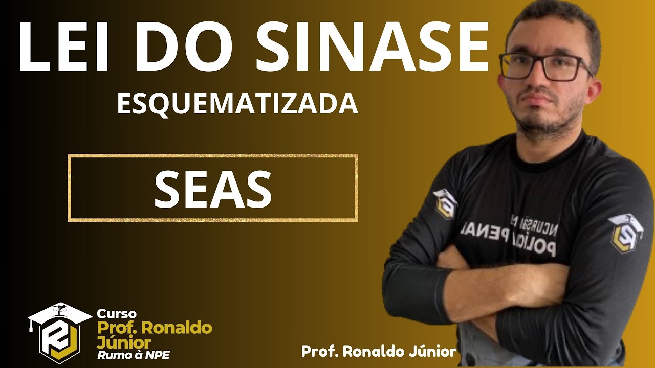 LEI 12594/2012 - SINASE - SEAS/ Prof. Ronaldo J&uacute;nior