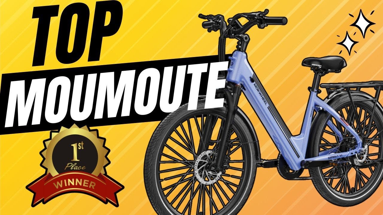 Le vélo électrique parfait pour tous les jours (Mokwheel Asphalt ST)