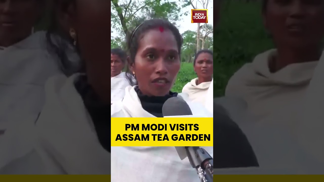 Narendra Modi Visits Assam Tea Garden | Heartwarming Moment #pmmodi #assam #dibrugarh
