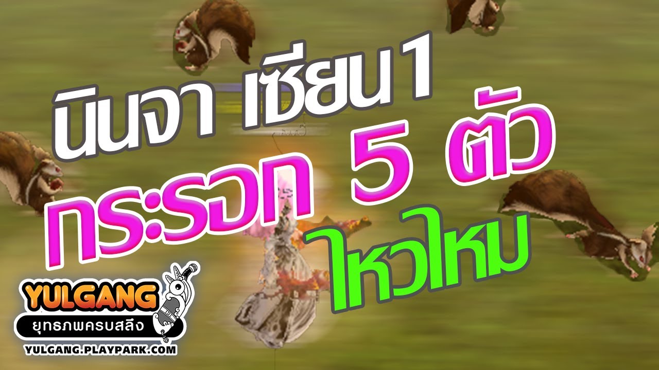 โยกัง นินจาเซียน1 ฟามกระรอก5ตัว ที่หุบเขาร้อยลี้