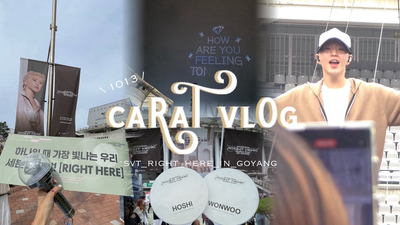 【CARAT Vlog】このオタク抜きで“RIGHT HERE”しようたってそうはさせない in 高陽, 韓国