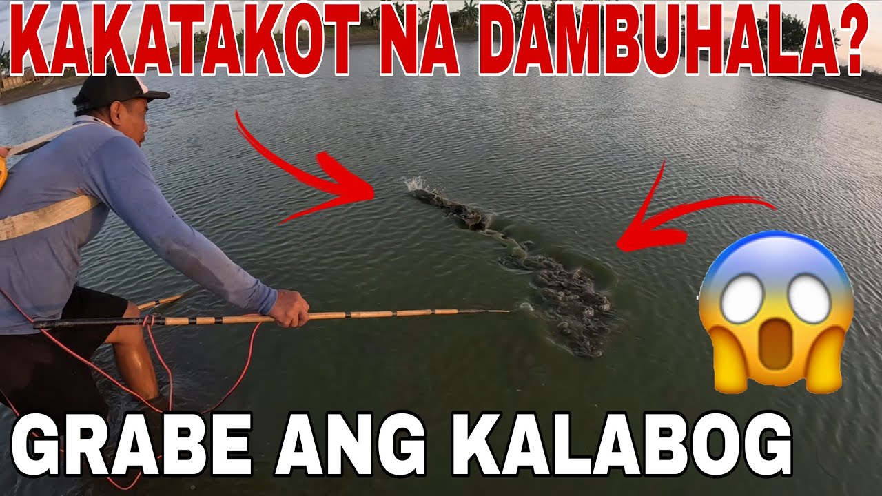 Mga Jumbong Dalag at may kamandag na isda aming nahuli at nakipag habulan pa?