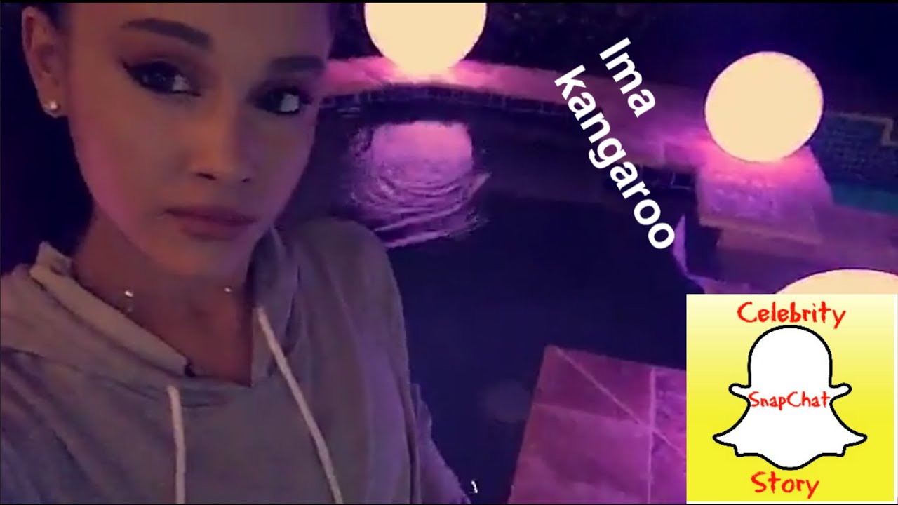 Ariana grande snapchat story christmas xmas 2015