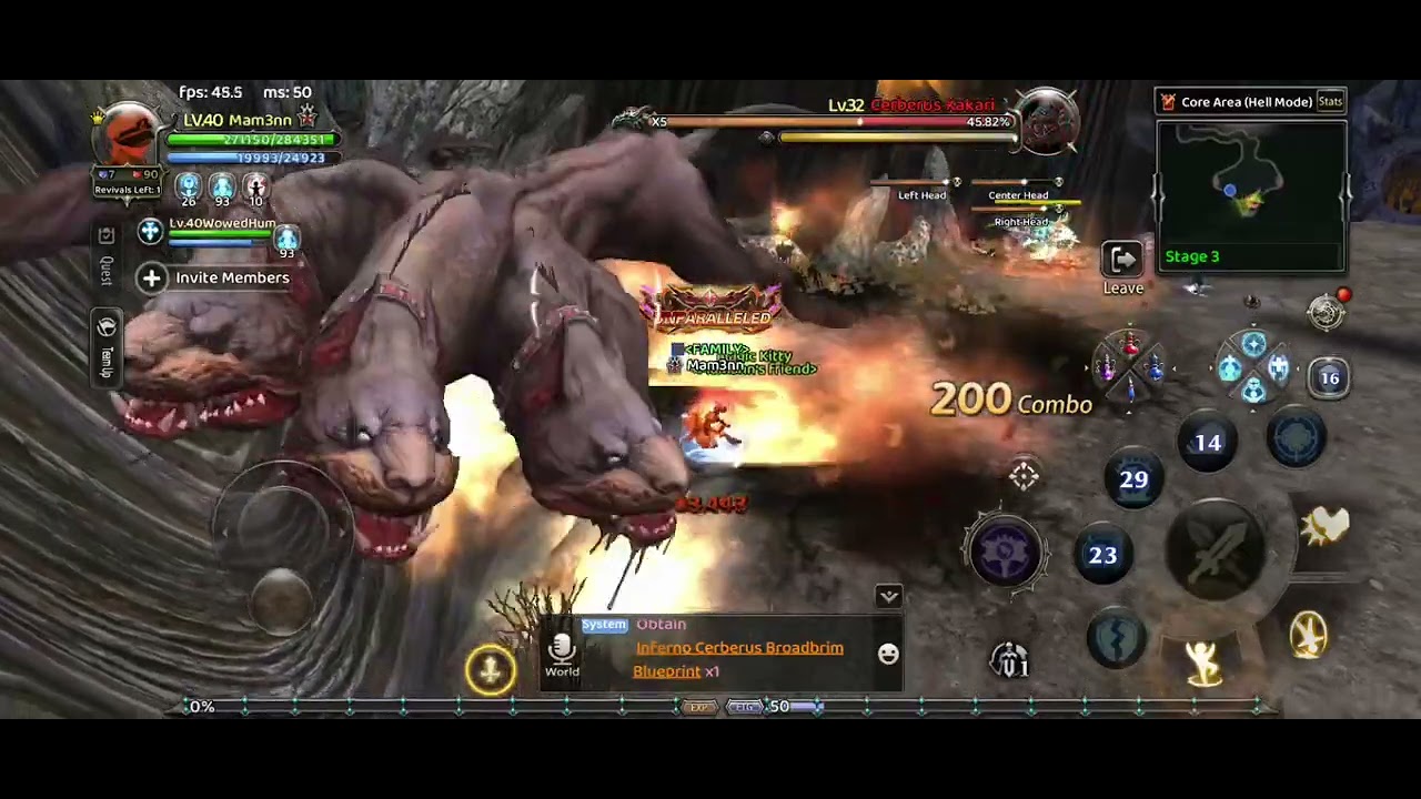 Dragon Nest Rebirth Of Legends : Cerberus (Hell mode) Stage 3 Paladin POV