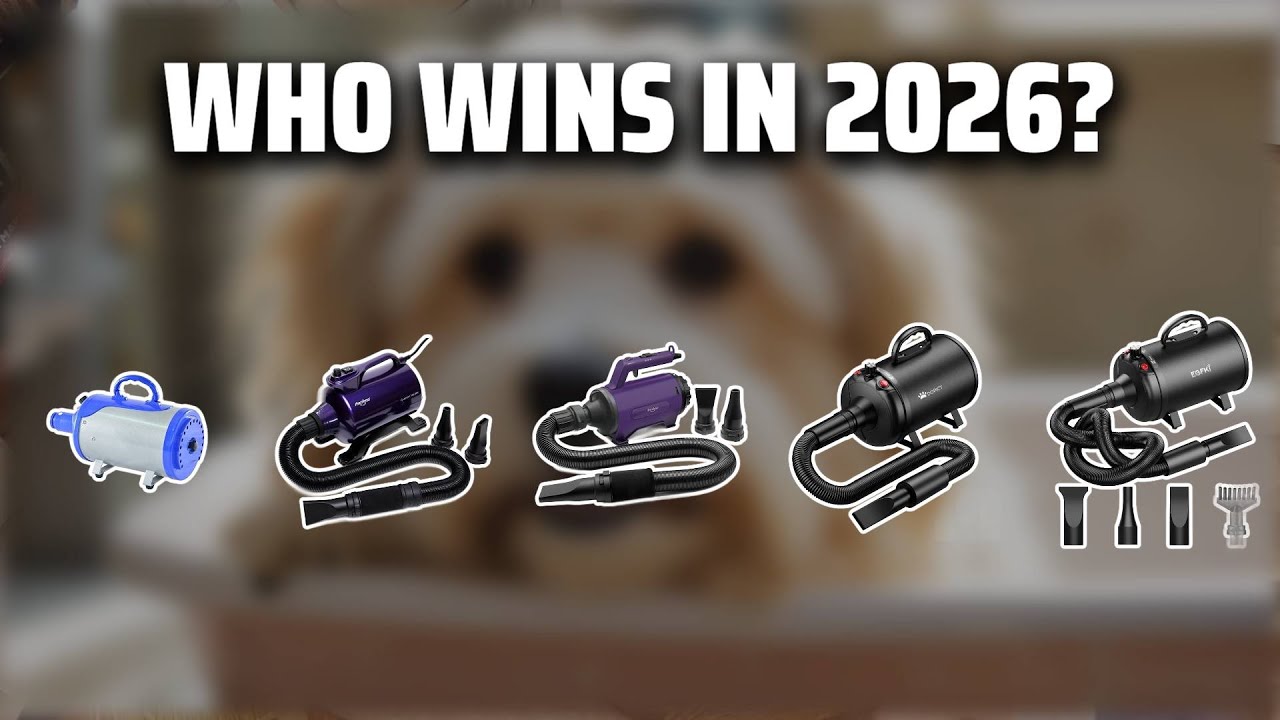 The Top 5 Best High Velocity Dog Dryer in 2026 - Must Watch Before Buying!