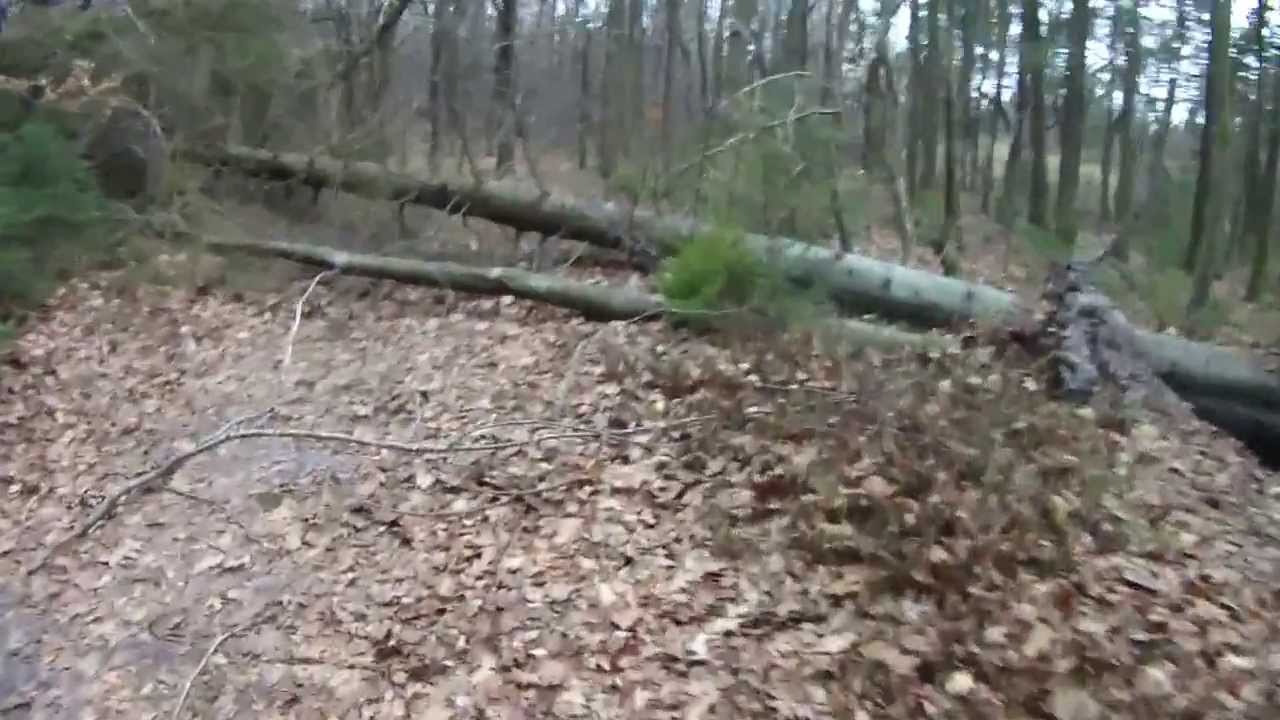 Nibsbjerg og Vestre Plantage Holstebro efter stormen