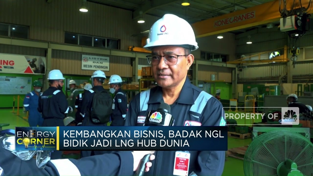 Strategi PT Badak NGL Tekan Impor LPG & Jadi LNG Hub Dunia