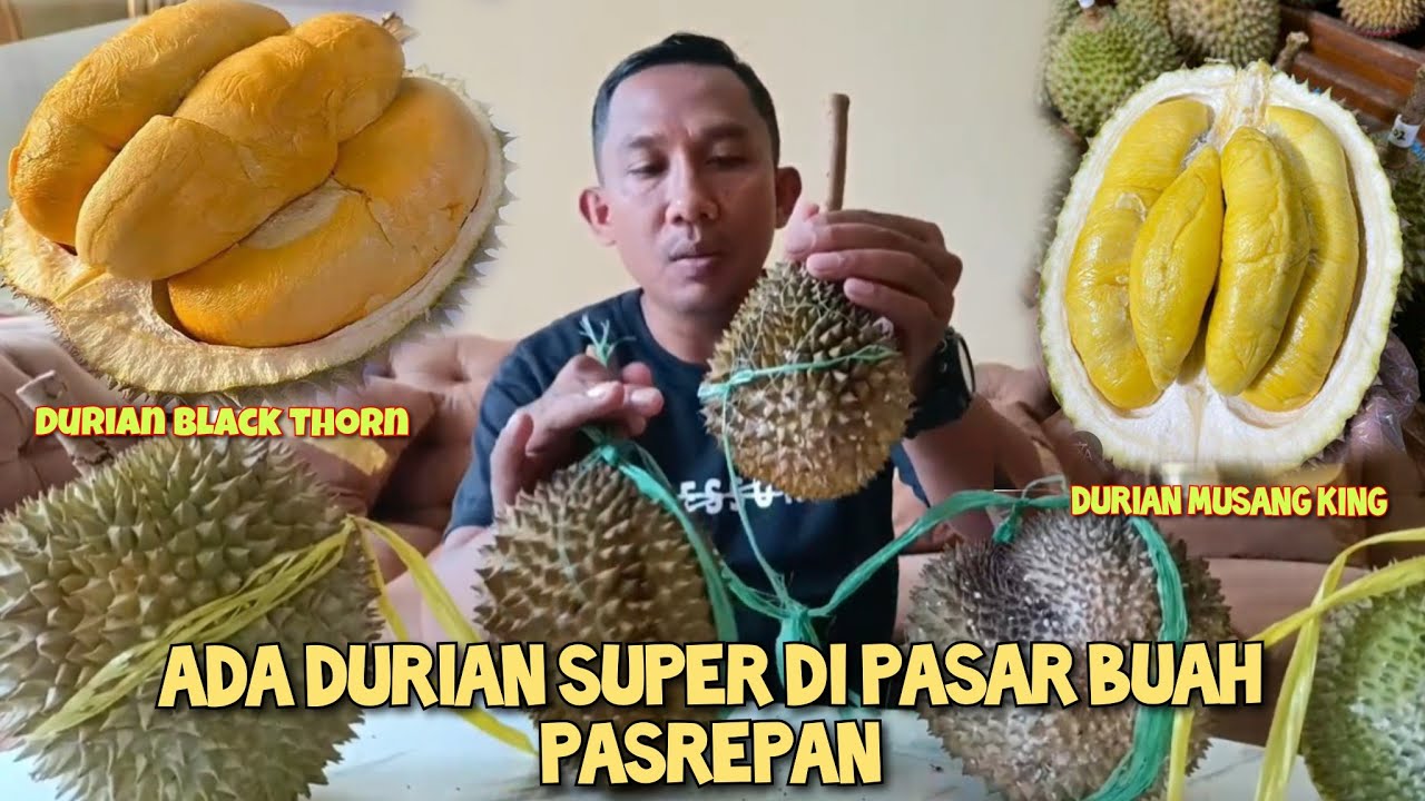 ALHAMDULILLAH DAPAT DURIAN MUSANG KING DAN DURIAN BLACK THORN MURAH DISINI riview durian musang king