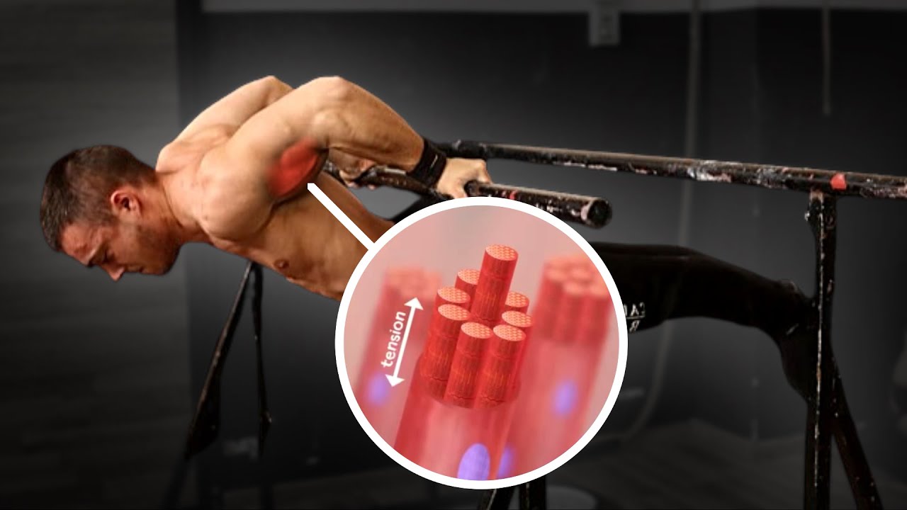 Construye MÚSCULO con CALISTENIA x2 más RÁPIDO | Ciencia Aplicada