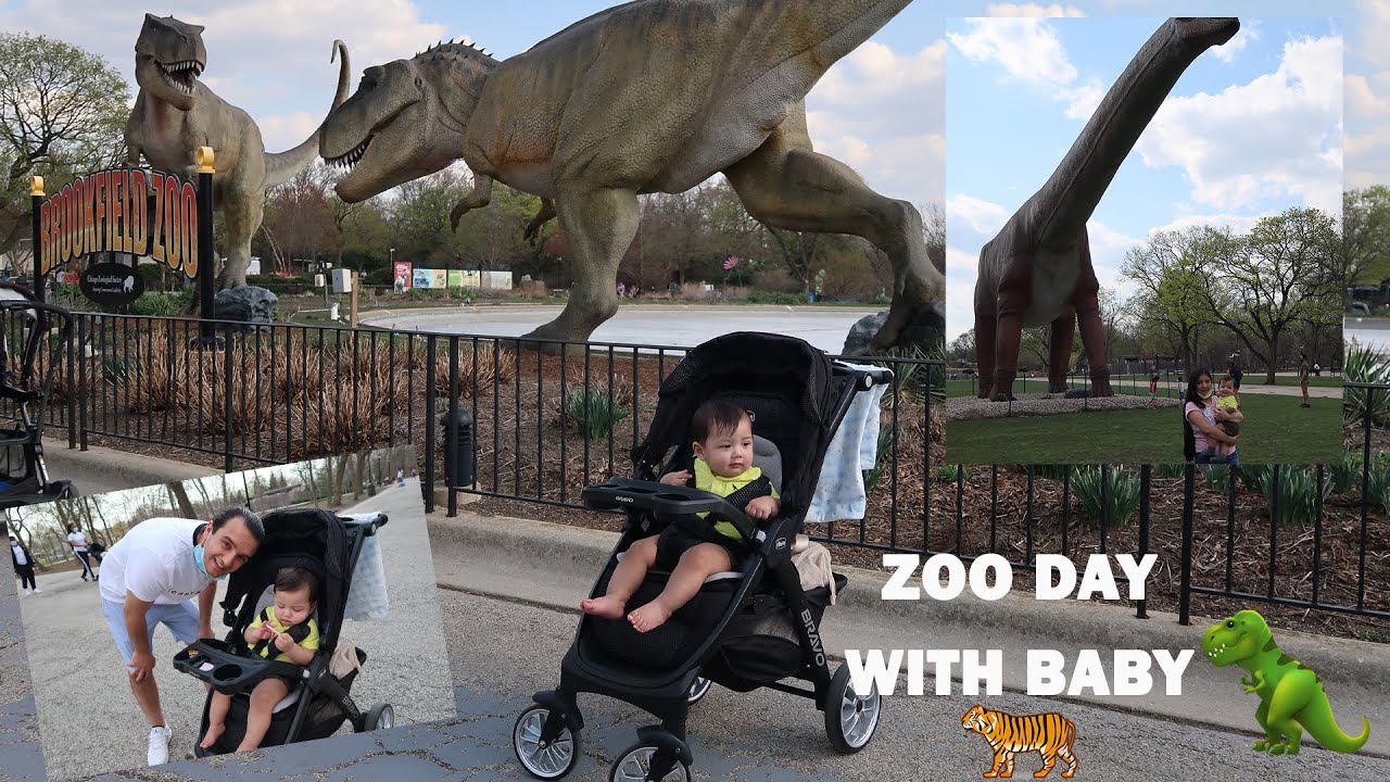 Day at the zoo with 9 month old Baby | Mini Vlog