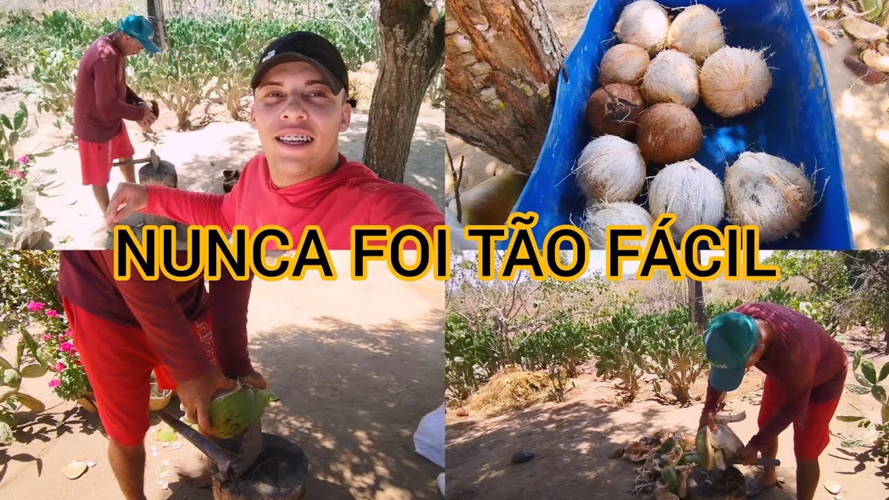 COMO TIRAR A CASCA DO COCO DO JEITO MAIS FÁCIL.