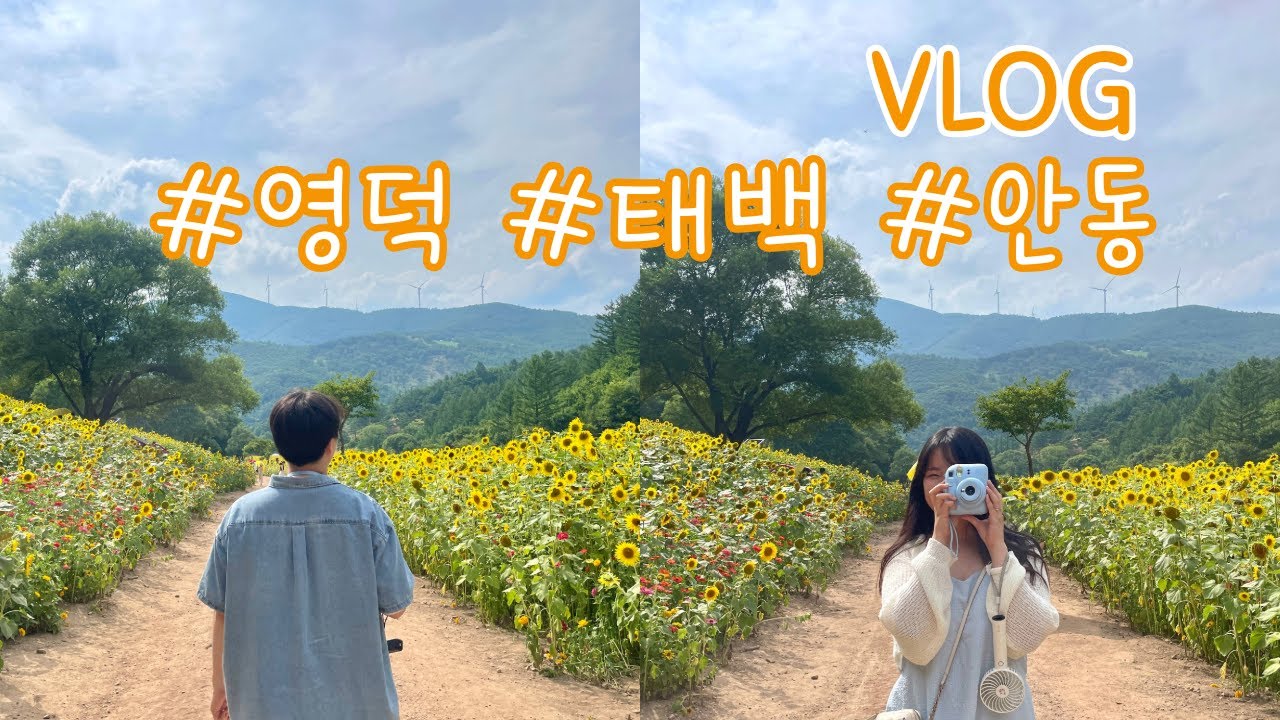 [vlog]  오긴 왔는데..  우리 뭐하러 온 거야?🤪 여행 브이로그 | 영덕, 안동, 태백