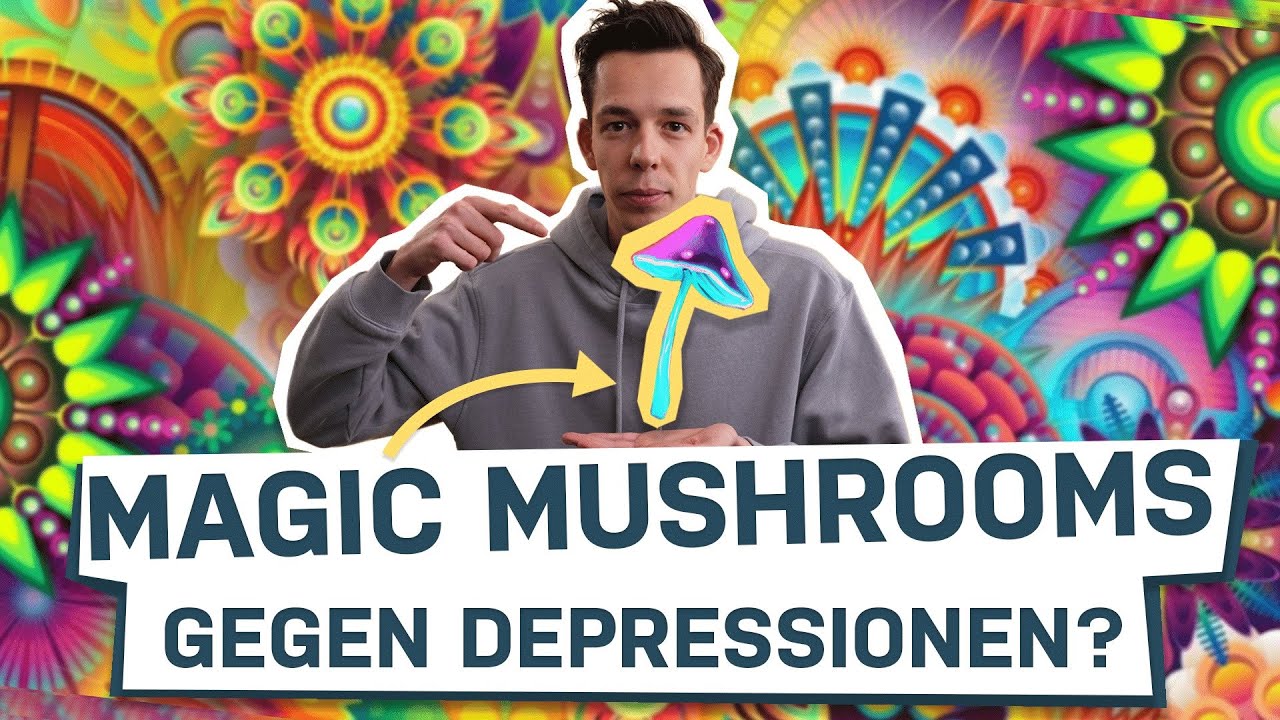 LSD und Magic Mushrooms: besser als Antidepressiva? | psychologeek