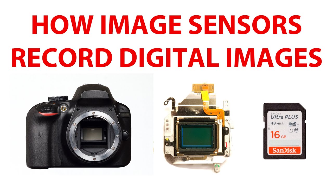 How Does a Digital Camera Record Images