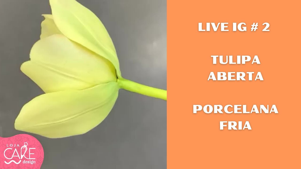 LIVE #2:  Tulipa aberta de porcelana fria flexível (biscuit)