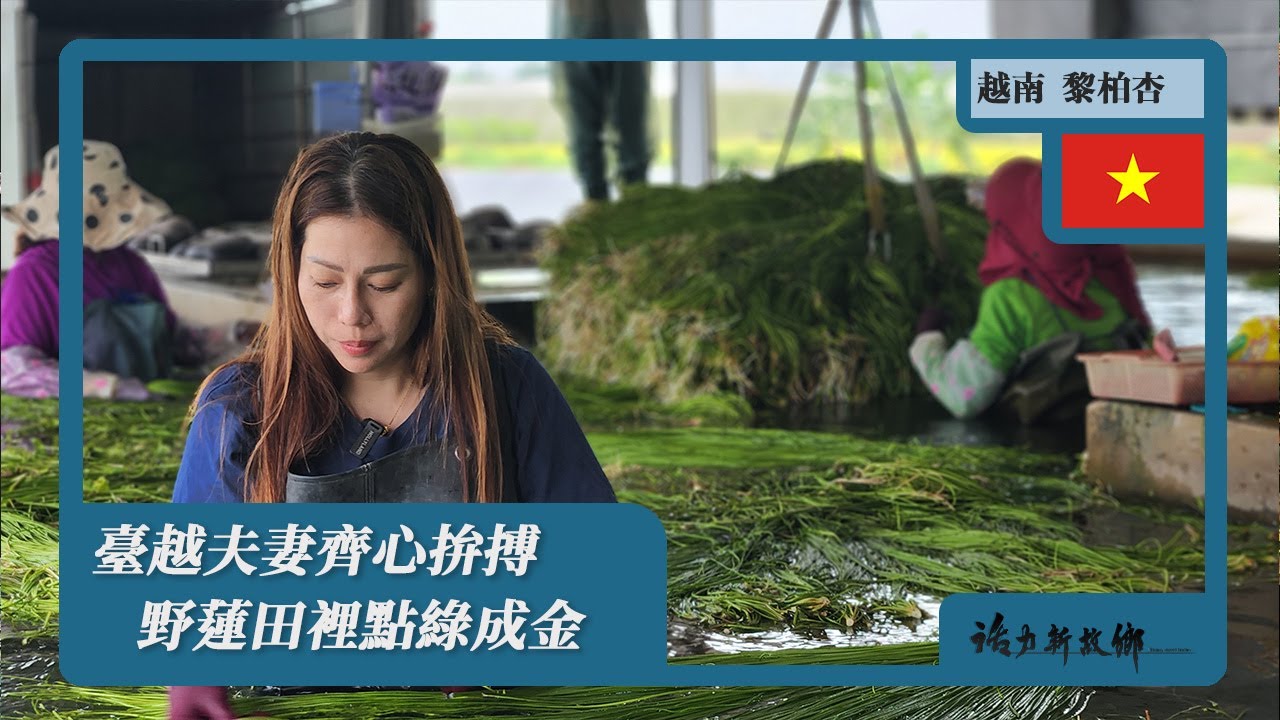 臺越夫妻齊心拚搏 野蓮田裡點綠成金｜越南 X 黎柏杏｜《活力新故鄉》EP97《Home, sweet home》【VI SUB】