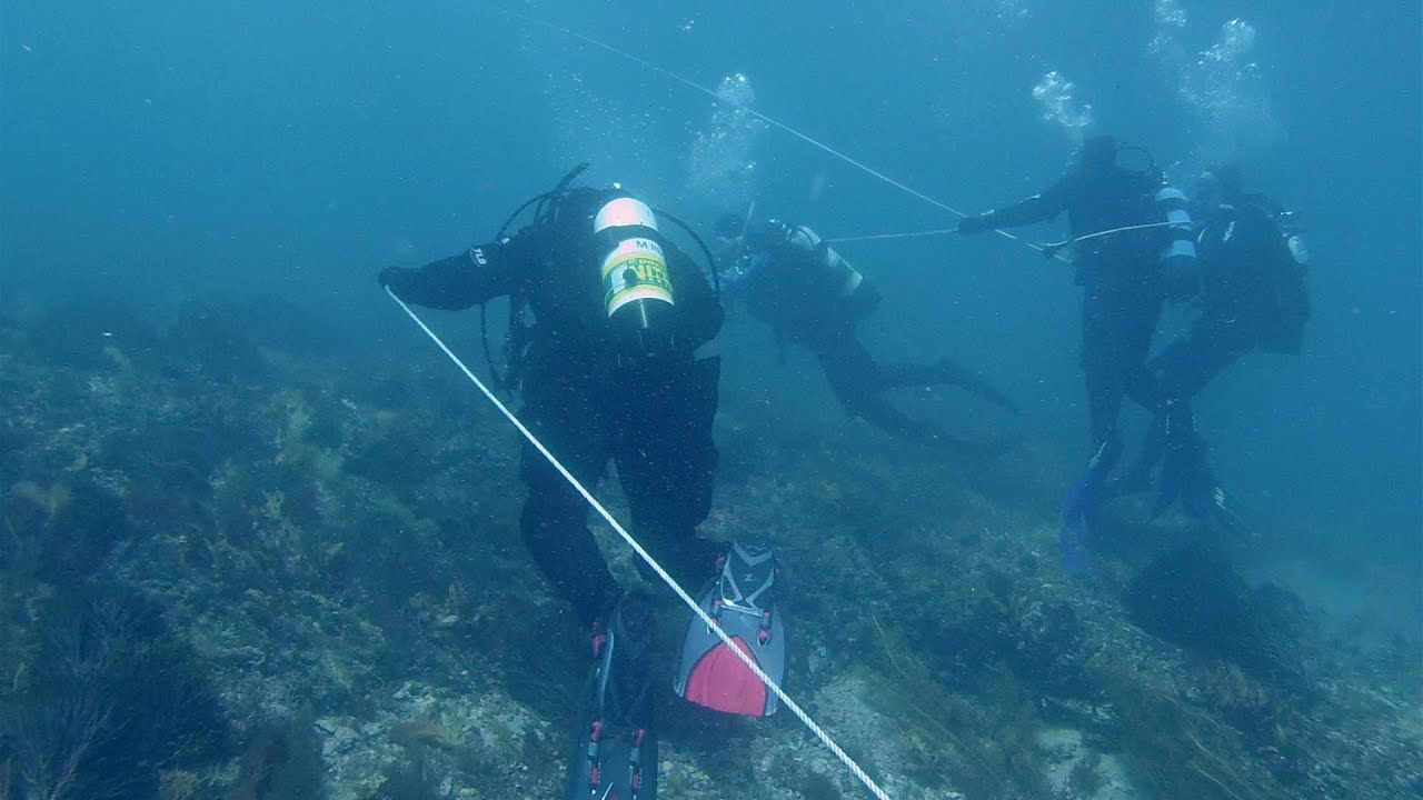 Diving Port Phillip Bay - The Grotto & Lonsdale drift dive
