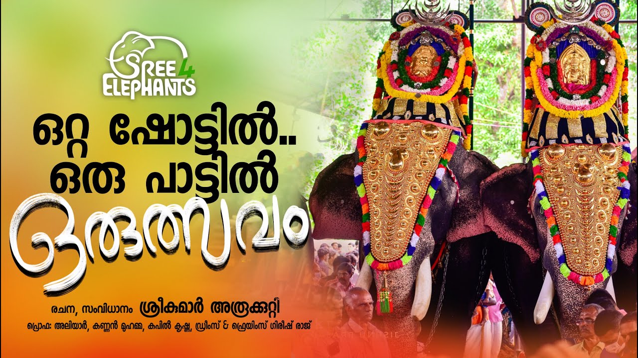 KERALA ELEPHANT FESTIVAL.. IN A SINGLE SHOT.. SINGLE  SONG
