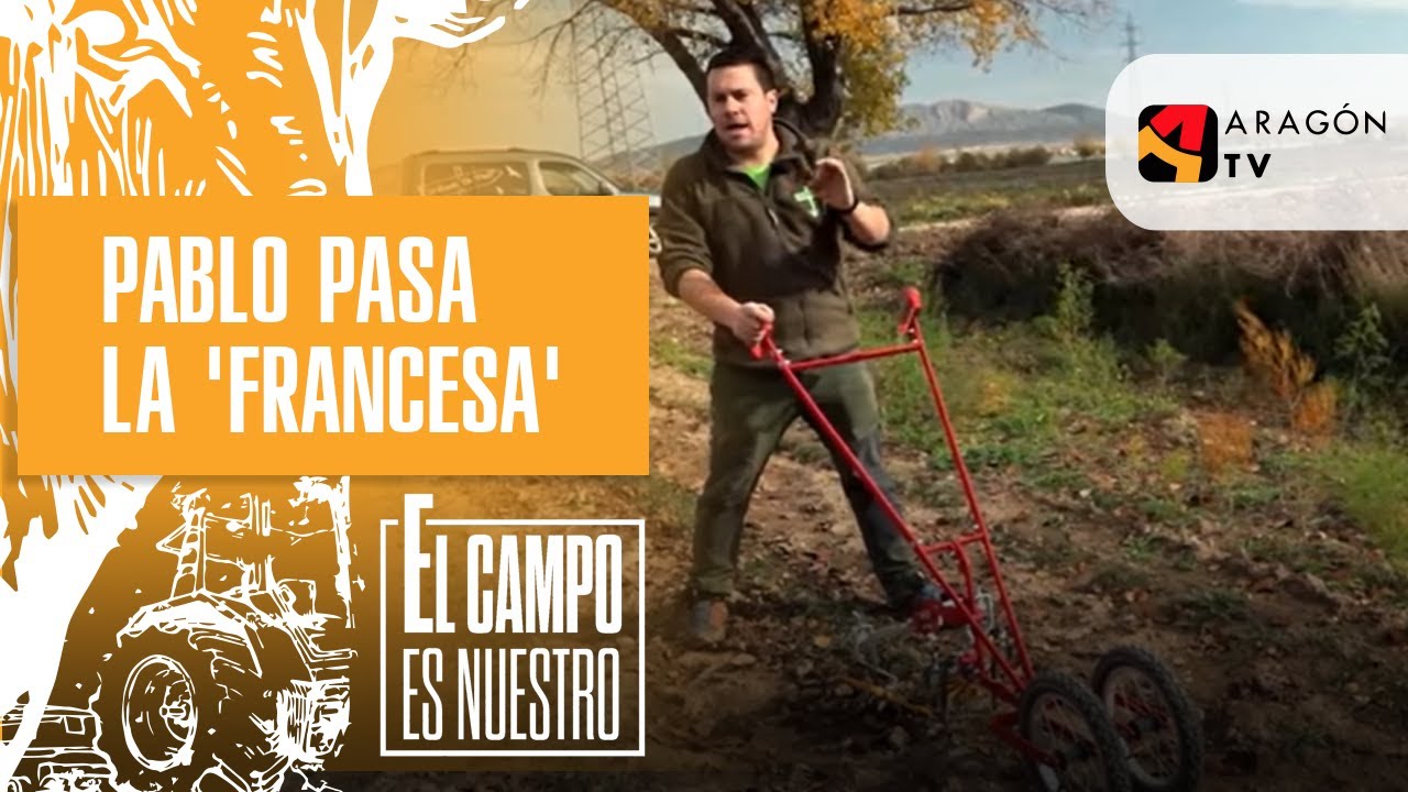 Después de recoger el azafrán, Pablo pasa la 'francesa'